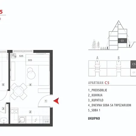 Apartment Petica Divcigora