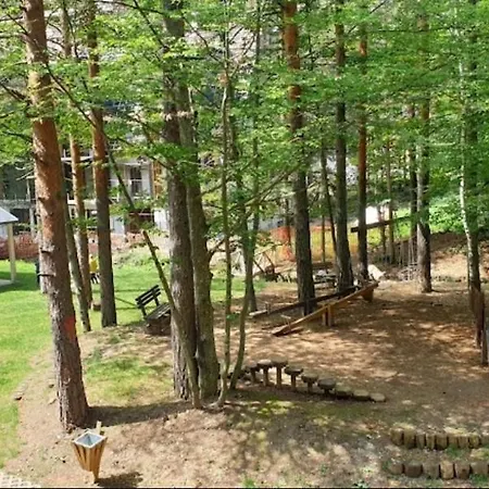 Apartament Petica Divcigora